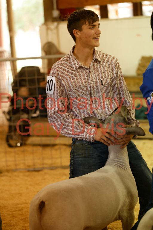 _MG_0130 (2)